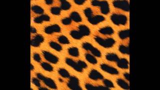 Die Schröders - Schröder