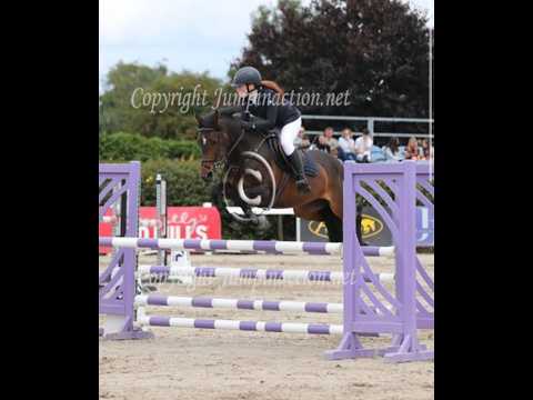 🌟 Competitive 148 SJI Pony 🌟 - Image 2