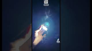 كشاف الاحلام M300 - S-11