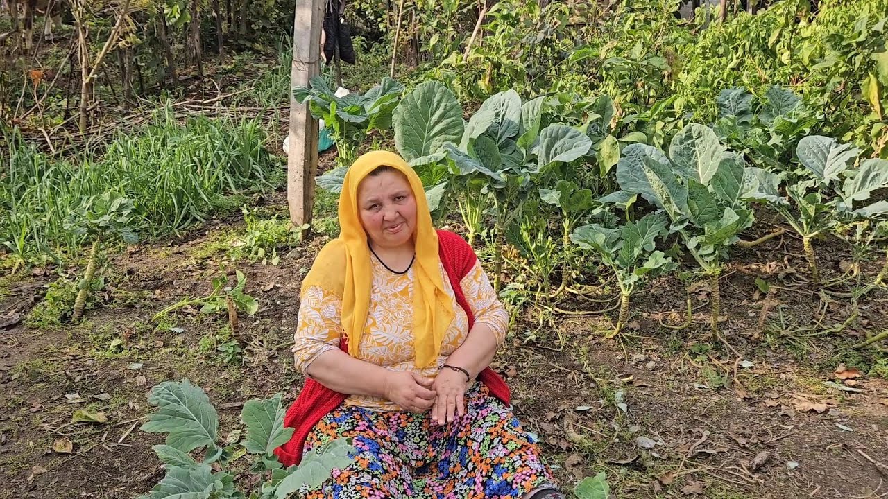 ‼️BİBERE PATLICANA SON BAHÇE TEMİZLİĞİ FİDENİN YERİ HAZIR 