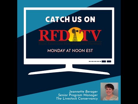 Jeannette Beranger on RFD-TV's "Market Day Watch," June 16, 2025