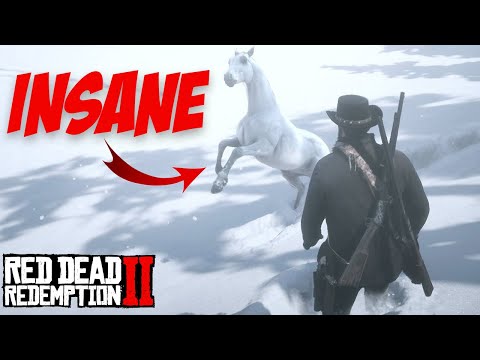 How to get the BEST HORSE at CHAPTER 2 Start | Red Dead Redemption 2 2024