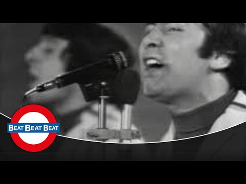 The Troggs - You Can't Beat It (1967)