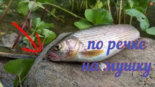 Мушки для ловли хариуса по времен