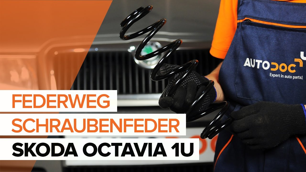 Wie Skoda Octavia 1U Federn hinten wechseln - Anleitung