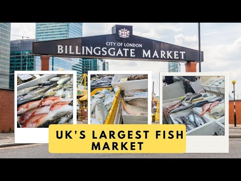 UK'S LARGEST FISH MARKET IN LONDON BILLINGSGATE #billingsgate #goanvlogger #fishmarket #london