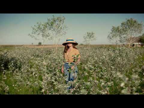 Wolfgang Wee & Holy Brune - Heart of Stone