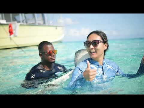Video thumbnail of Captain Marvin’s Watersports