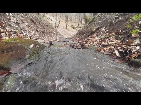 Pârâu @ Handalul Ilbei