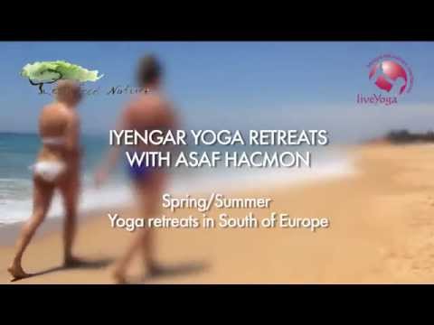 download lagu mp3 mp4 Iyengar Yoga Netherlands, download lagu Iyengar Yoga Netherlands gratis, unduh video klip Iyengar Yoga Netherlands