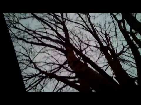 Mini Quadcopter crash- Hubsan X4