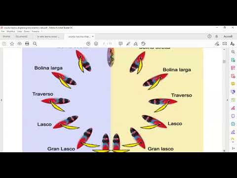 videoconferenza 1° teoria sulla pratica a vela 2020