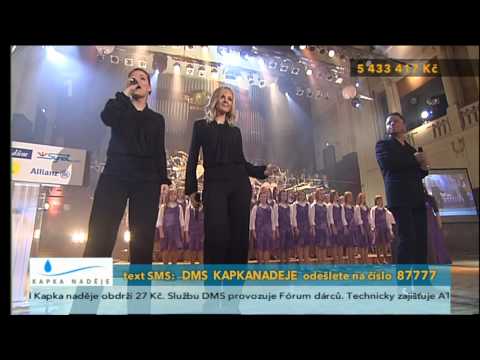 Petr Muk - Stín katedrál