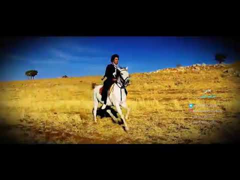 ابراهیم الفتی -کلاش Ibrahim Elfati Klash Official Music Video