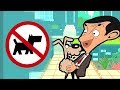 No Pets Mr. Bean! | Funny Episodes | Mr Bean Cartoon World