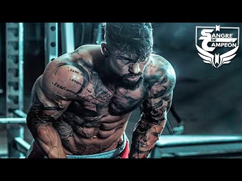 Cada Repetición Cuenta - Motivación Gym