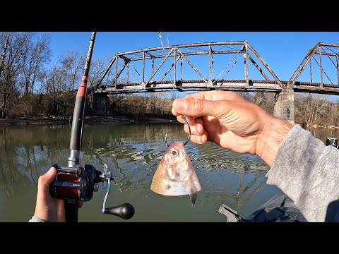 4 Hours of RAW and UNCUT Kayak Catfishing | Anchor Fishing in a Flooded Creek | Unexpected Catch