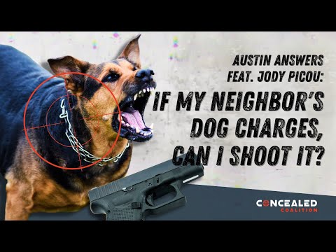 If My Neighbor's Dog Charges, Can I Shoot It? - Austin Answers ft. Jody Picou