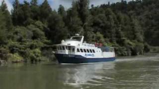 preview picture of video 'mokau_river_tours_3.avi'