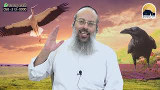 פרשת שמיני | אסור להסתפק במועט | חסד של טומאה ᴴᴰ