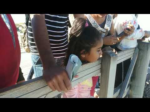 Ahana @ Boulders in Cape Town, South Africa