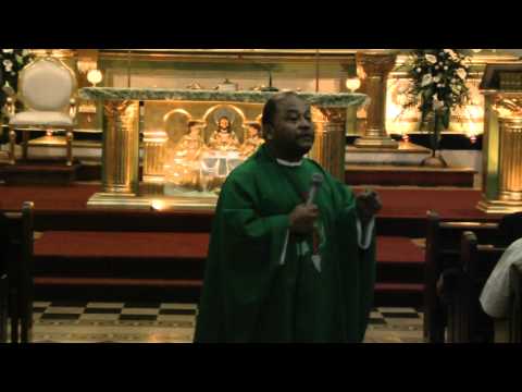 Evangelio y Homilía 30_01_11.mp4