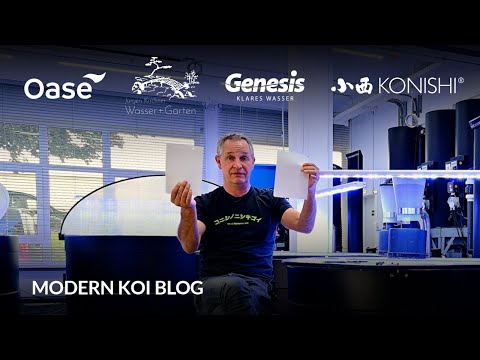 Modern Koi Blog #6082 - Can you add Koi several times a year?