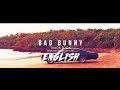 Bad Bunny Amor Foda Lyrics Translation ENGLISH
