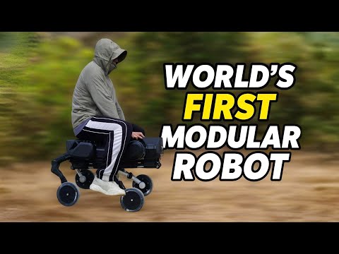 This Chinese Modular Robot Can TRANSFORM — Meet D1!