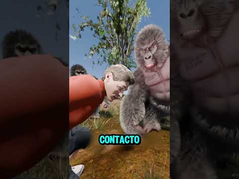 Cómo escapar de una exhibición de gorilas 😨