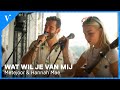 Metejoor & Hannah Mae - Wat Wil Je Van Mij (Live op Tuckerville) | Radio Veronica