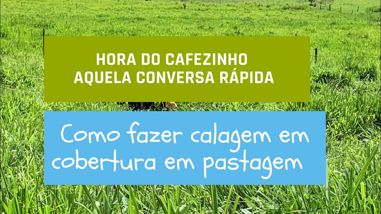 CALAGEM DE COBERTURA EM PASTAGENS
