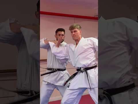 Kata application #karate #kata #martialarts #shotokan