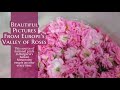 Beautiful Pictures From Europe S Valley Of Roses