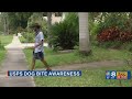 Tampa Bay Mail Carriers Seeing Dog Attack Uptick How To Keep Yours Safe