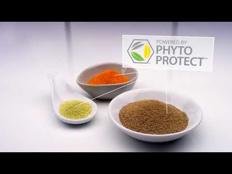 NUTRIWAY® Next Generation DOUBLE X® The Science behind Phyto Protect™ Blend
