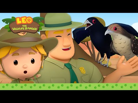 Witness21  2023 09 02