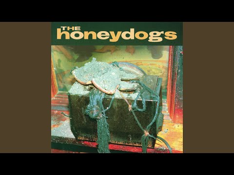 Those Things Are Hers - The Honeydogs