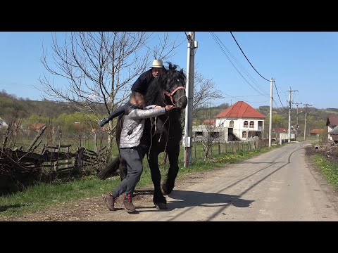 Calatorie prin Romania cu Pancica si Catalin - 2021