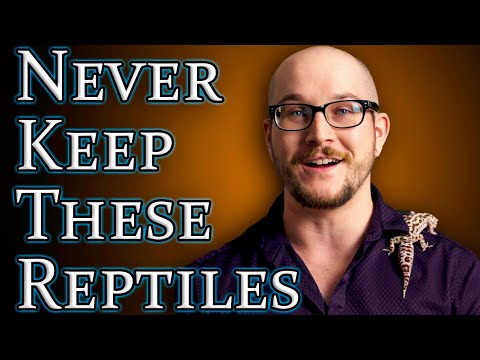 Top 5 Reptiles I Would NEVER Keep And The 5 Close Substitutions I Would