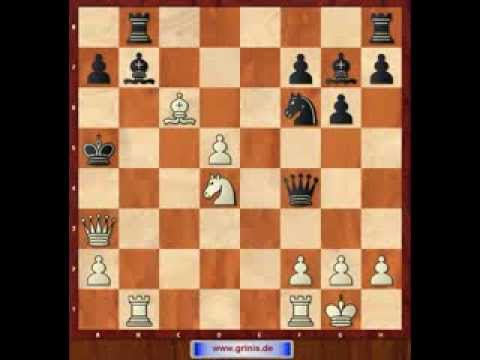 Eröffnungskatastrophen 16. Wolga-Benkö-Gambit 1.d4 Sf6 2.c4 c5 3.d5 b5. Eugen Grinis. Schach