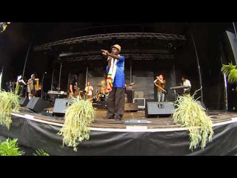Sylford Walker @ Irie vibes roots festival - 26.07.2014