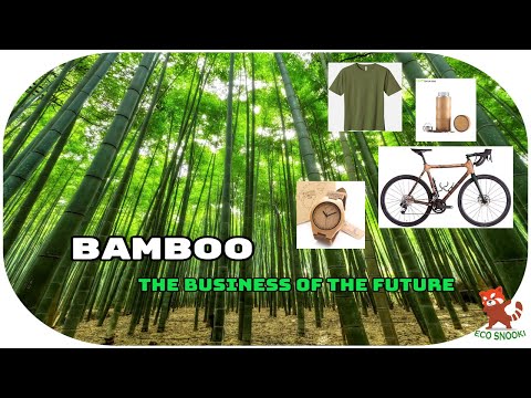 , title : 'BAMBOO - The high profit making industry of FUTURE'