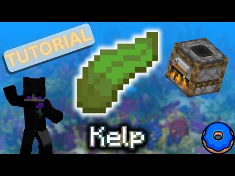Money V1 Full Base / 82m/h DonutSMP Kelp Farm