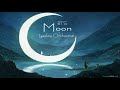 BTS (방탄소년단) Moon Orchestral ver