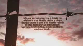 Cápsula- Día Mundial en recuerdo de las víctimas de los accidentes de tráfico