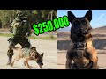 What does a $250,000 Elite Protection Dog Look like?