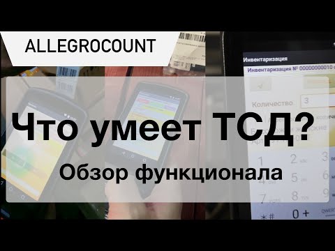 Видеообзор AllegroCount