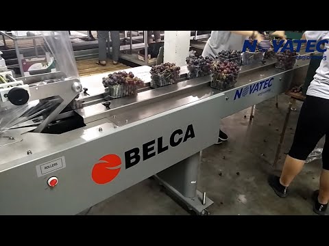 Novatec S.A. - Flow Wrapping Machine For Table Grapes (Flow Pack)