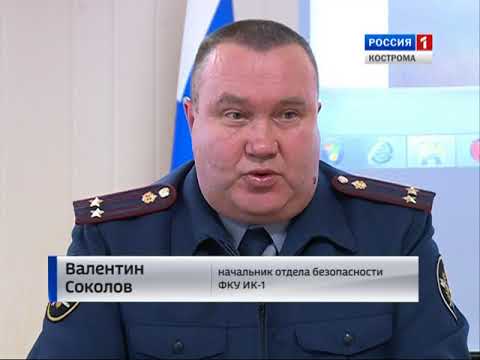 В костромском УФСИН рассказали, какими необычными способами заключённым передают «запрещёнку»